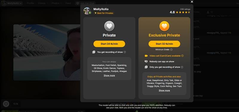 Private vs. Exclusive Private StripChat