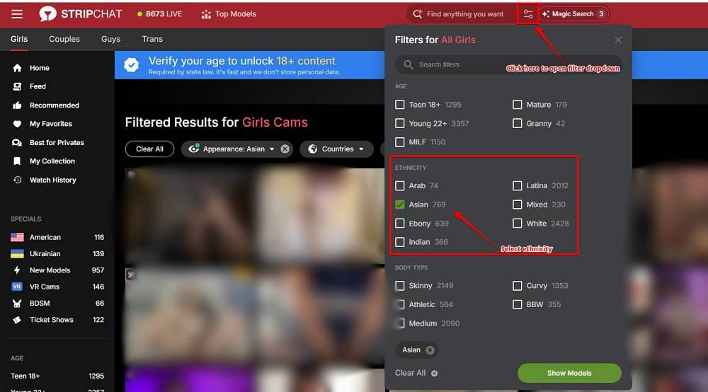 Asian Girls in StripChat
