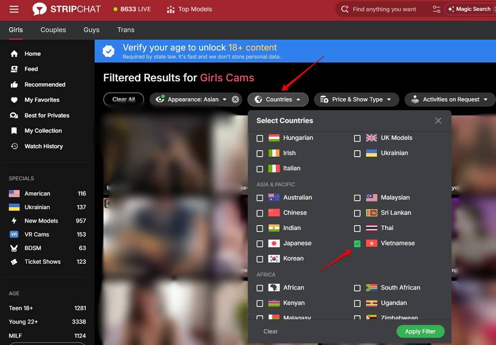 Hot Vietnamese and Thai Girls on StripChat