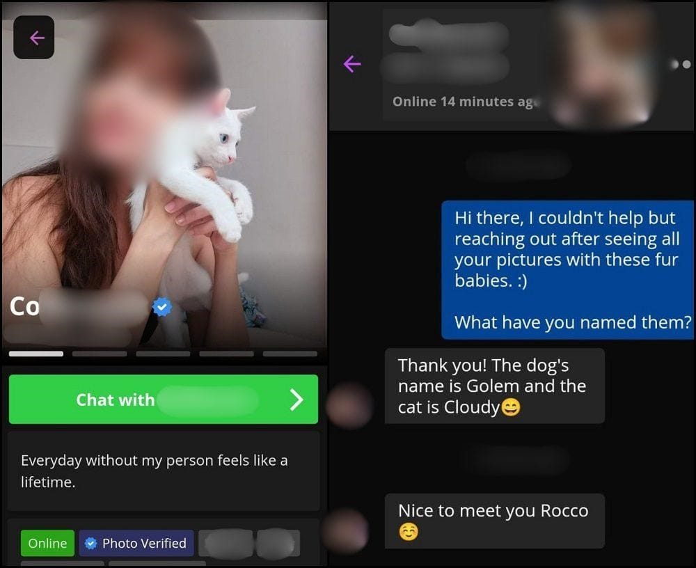 Messaging Girls on PinaLove
